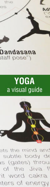 yoga-poster-160x600